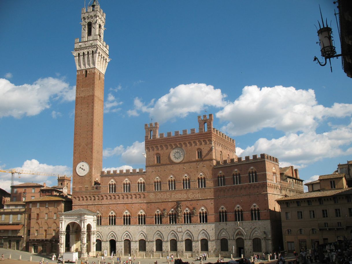 Place Palazzo Comunale