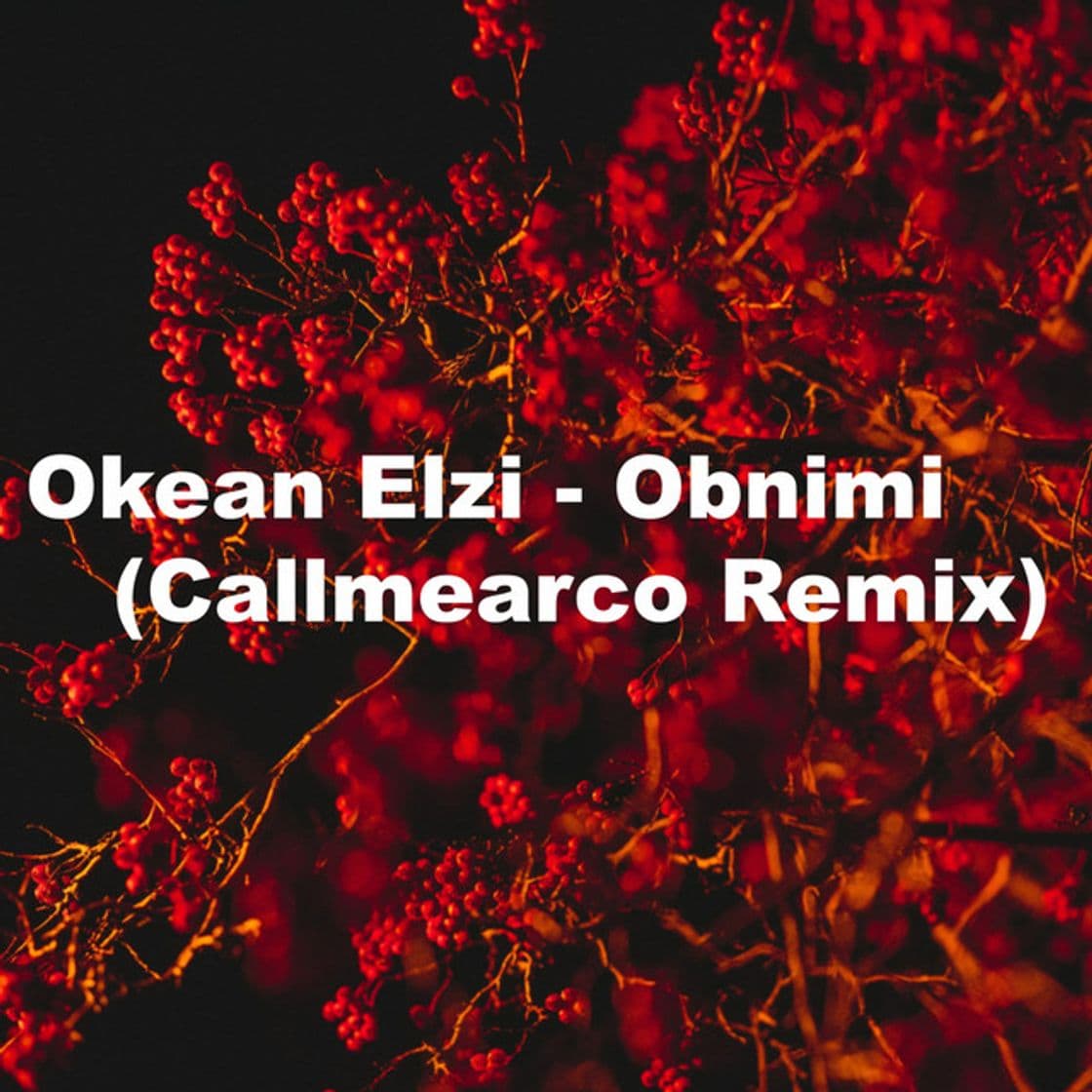 Music Obnimi (Callmearco Remix)