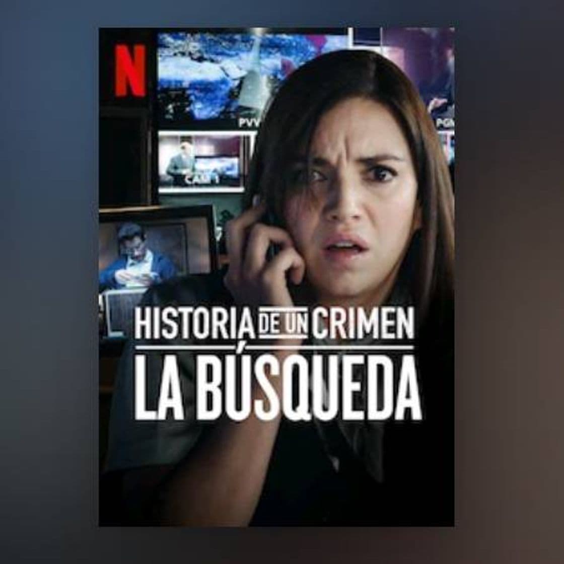 Serie Historia de un crimen: La búsqueda 