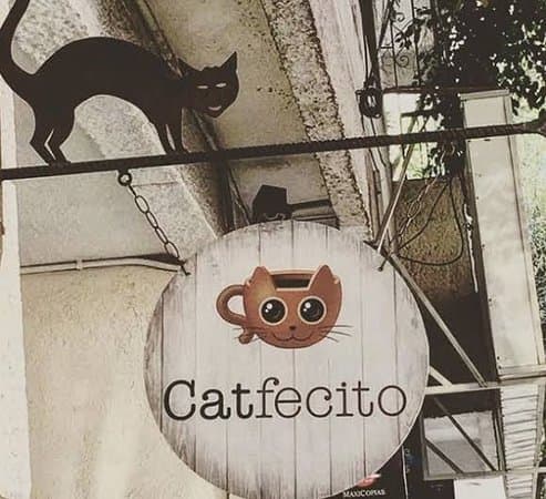 Restaurantes Catfecito