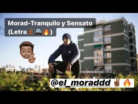 Fashion MORAD - TRANQUILO Y SENSATO 