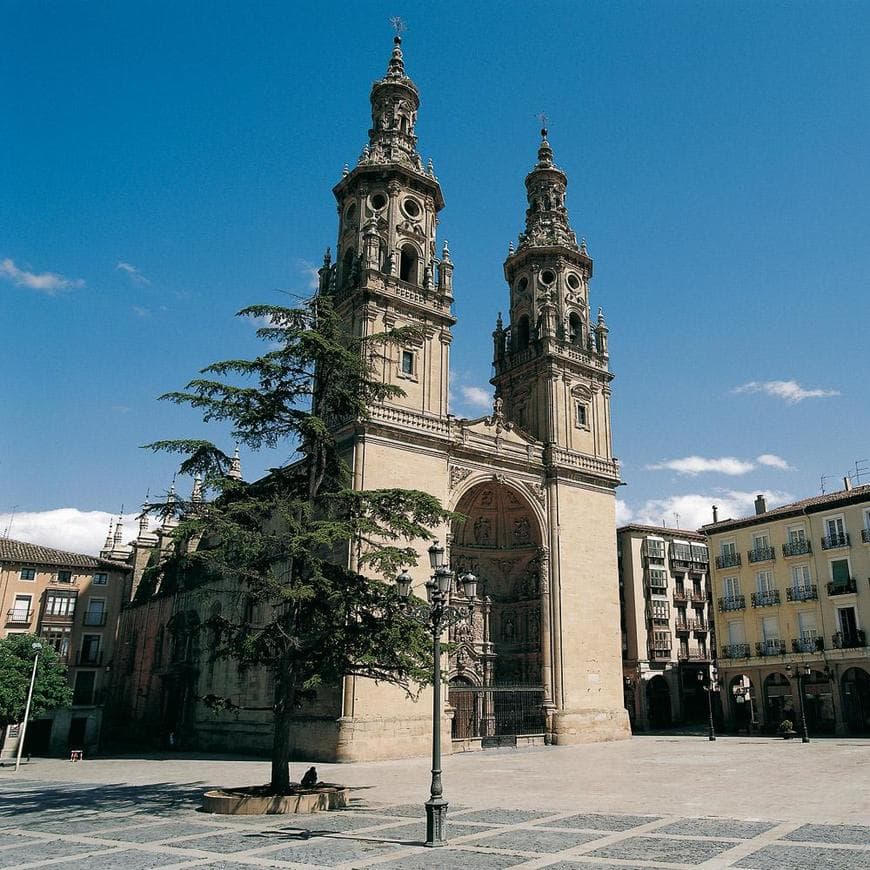 Place Cathédrale de Logroño