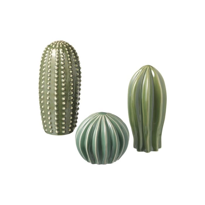 Producto Cactus