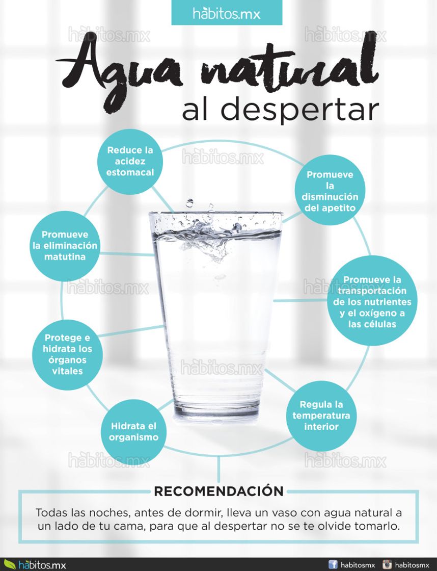 Moda Tomar agua al despertar 