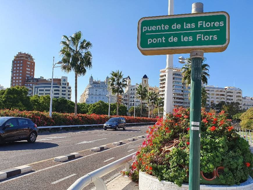 Lugar Puente de las Flores