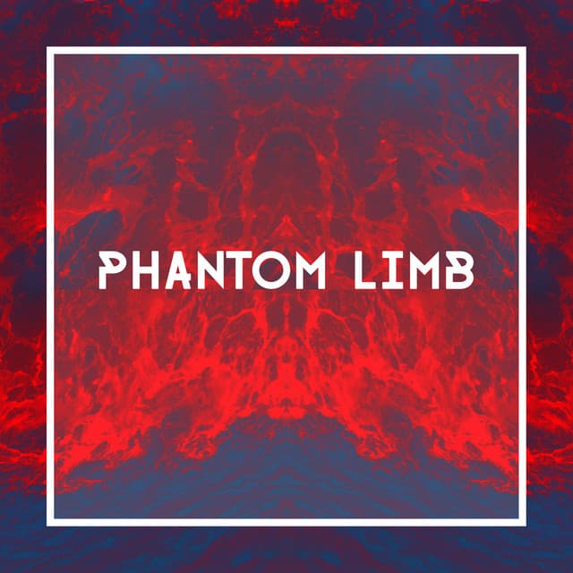 Canción Phantom Limb