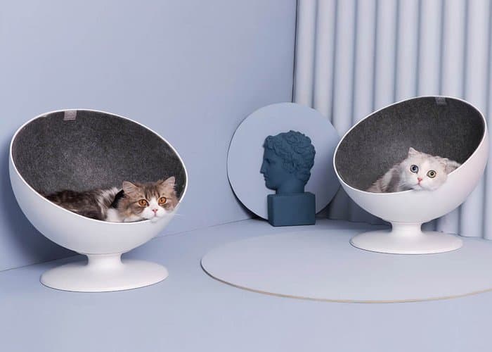 Moda Cama para gatos Xiaomi