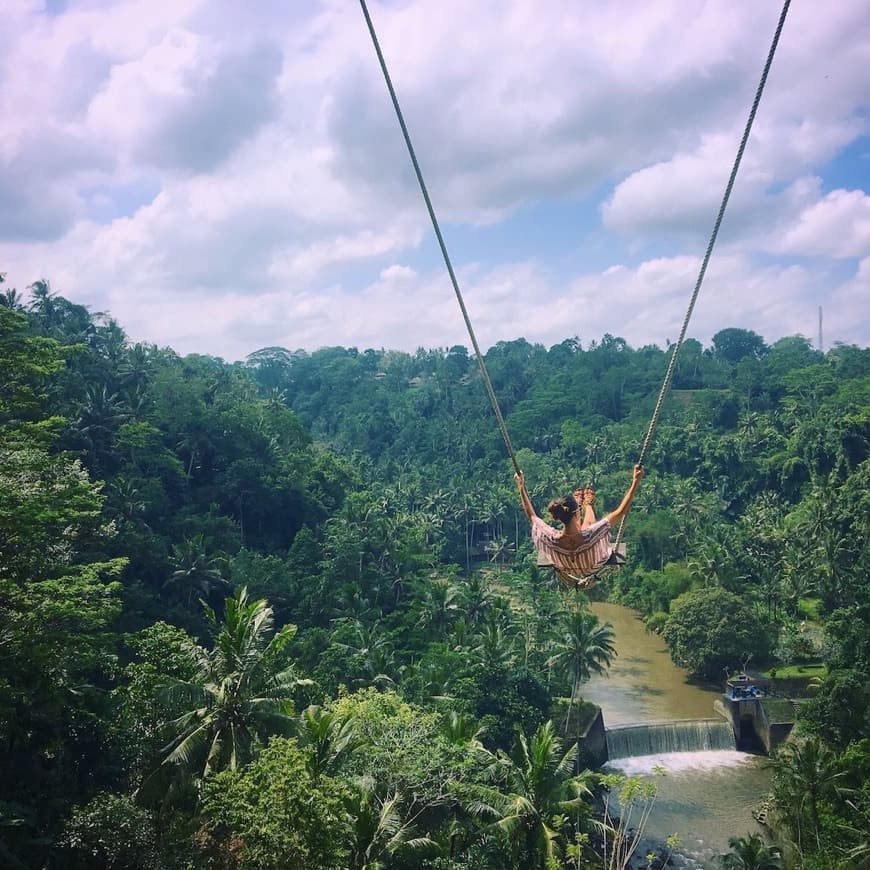 Place Zen Hideaway swings