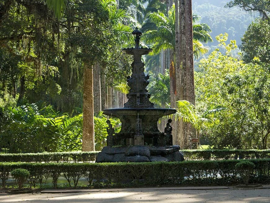 Lugar Jardim Botânico