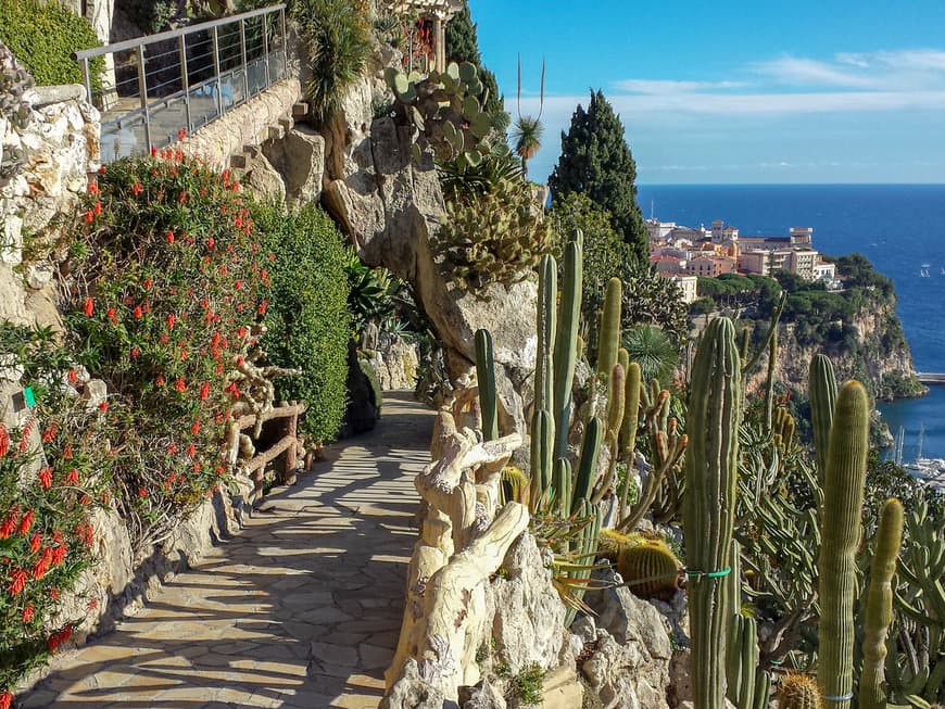 Lugar Exotic Garden of Monaco