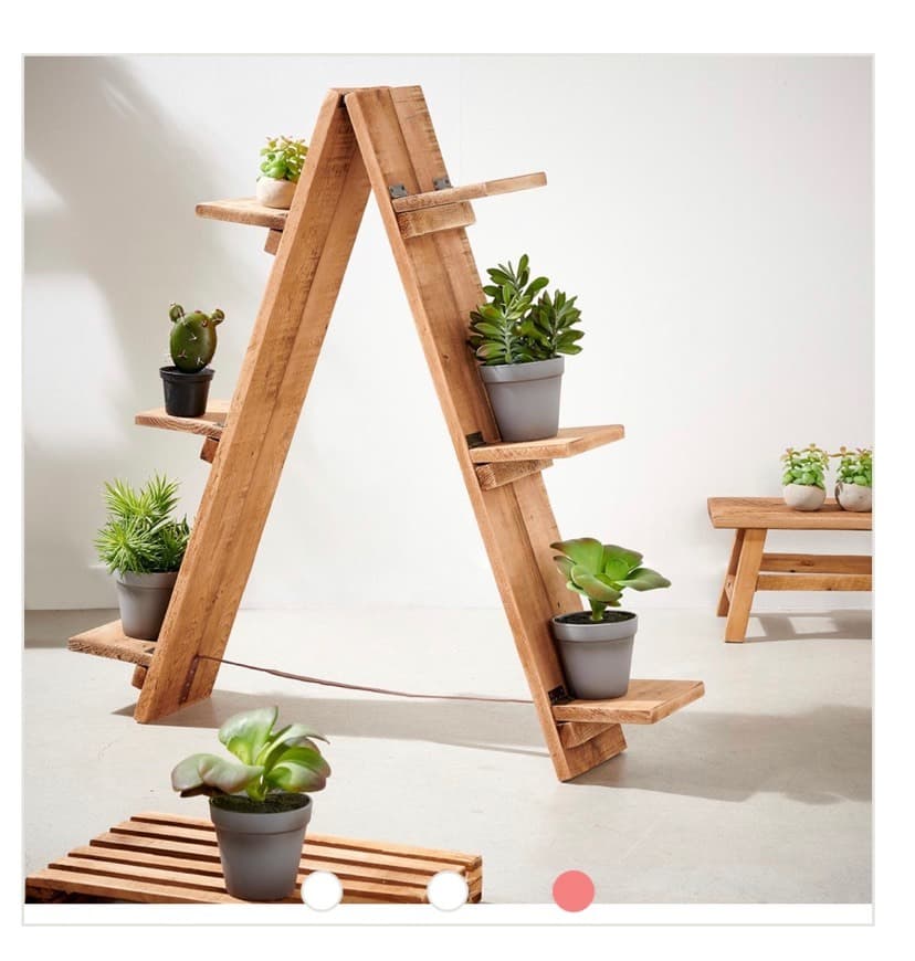 Fashion Escalera Plantas