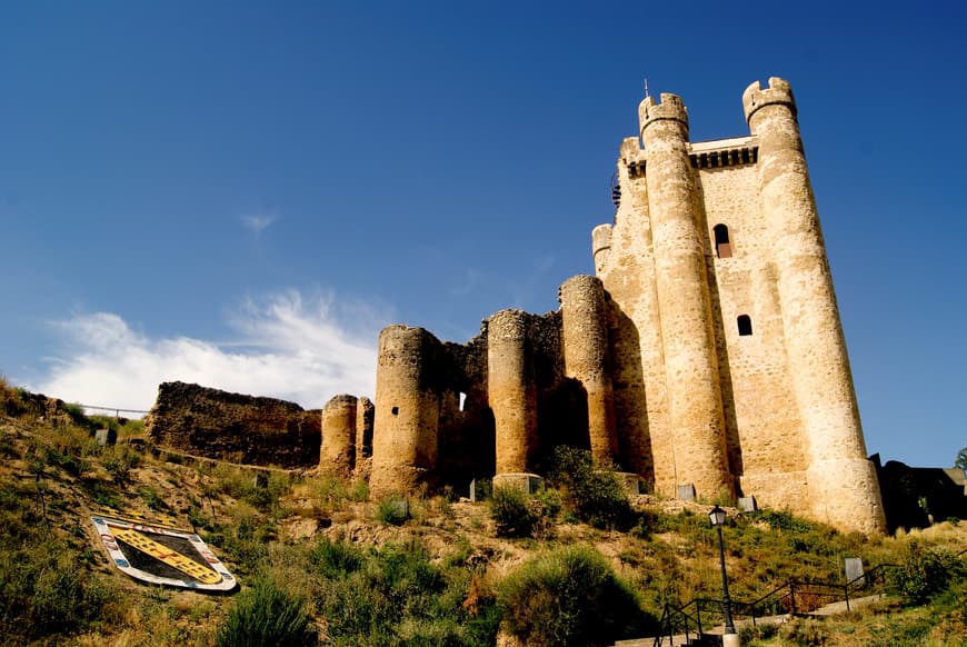 Place Castillo de Valencia de Don Juan