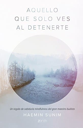 Libro Aquello que solo ves al detenerte