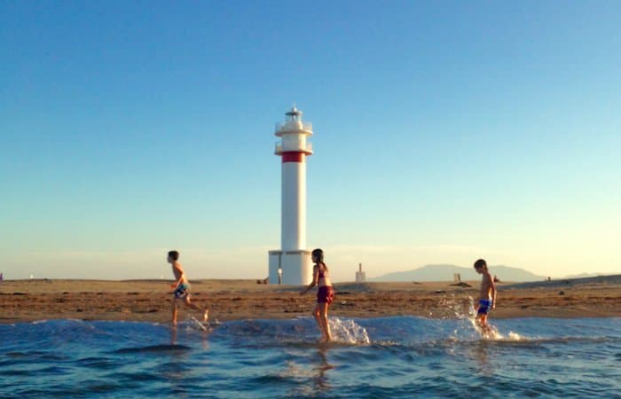 Fashion Far del Fangar al Delta del Ebre: dónde está y cómo llegar