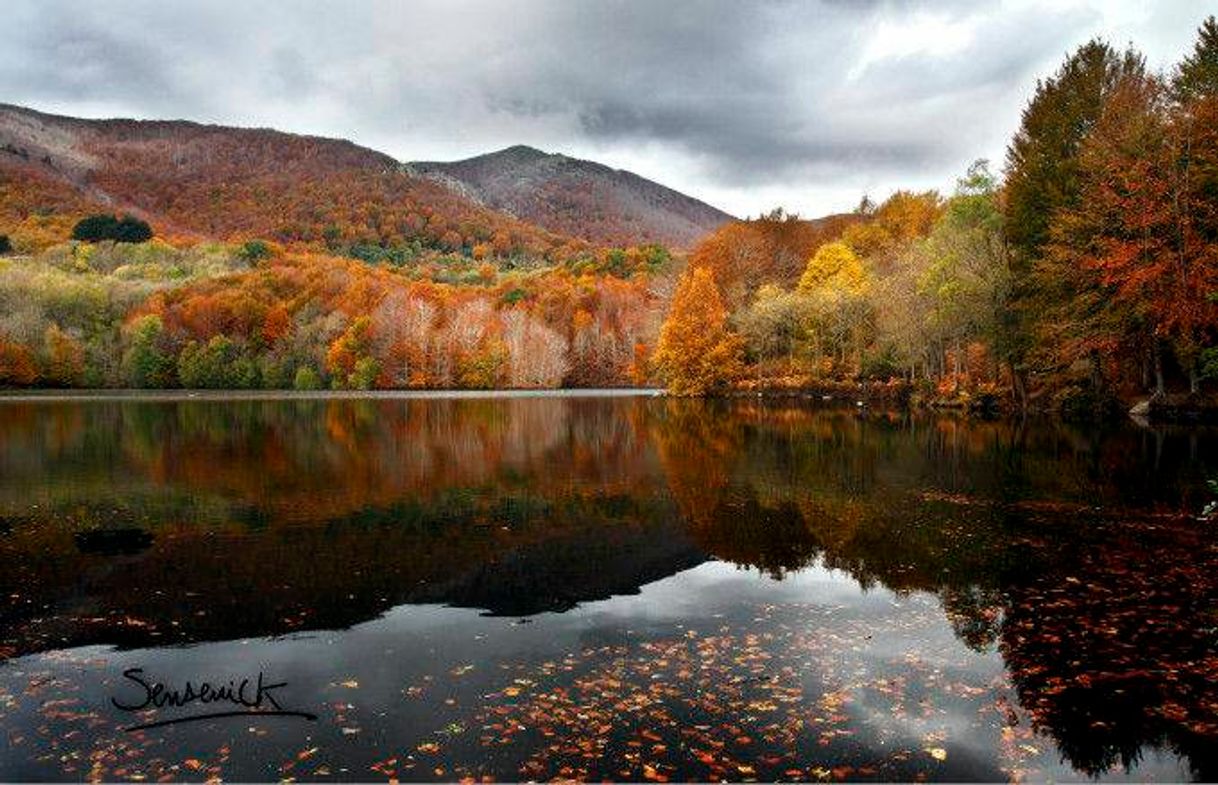 Lugar Pantano de Santa Fe del Montseny