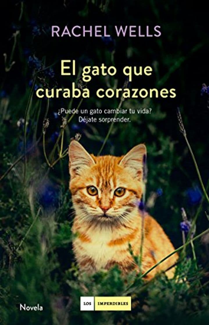 Libro El gato que curaba corazones