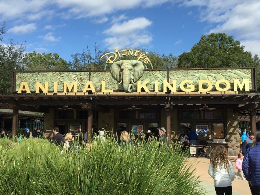 Lugar Animal Kingdom