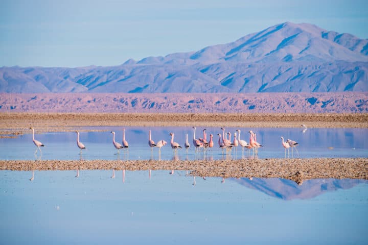 Lugar San Pedro de Atacama