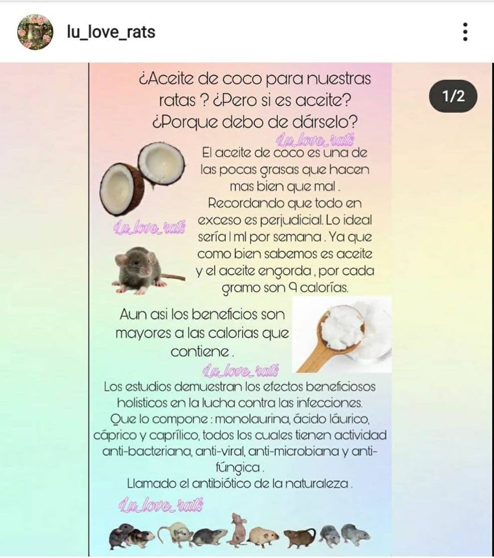 Moda El aceite de coco beneficios 