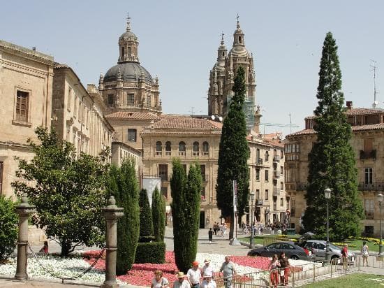 Lugar Catedral de Salamanca