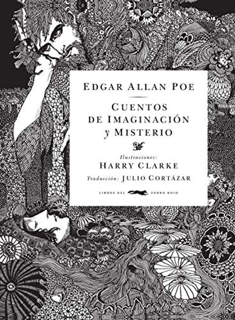 Book Cuentos de imaginación y misterio 