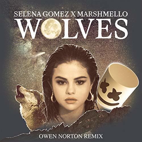 Canción Wolves