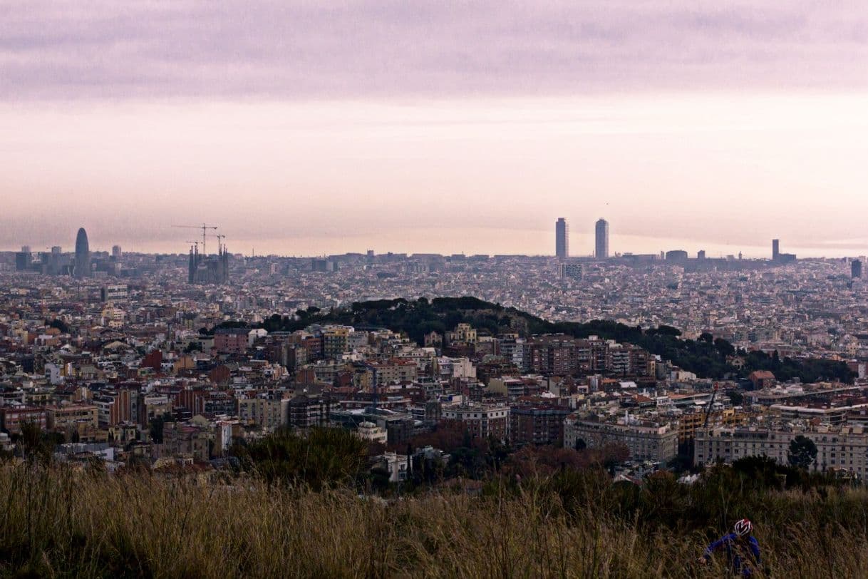 Lugar Collserola