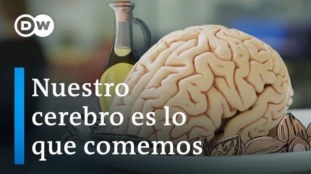 Movie Nuestro cerebro es lo que comemos | DW Documental - YouTube