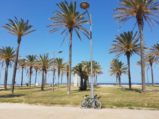 Lugar Playa de la Patacona