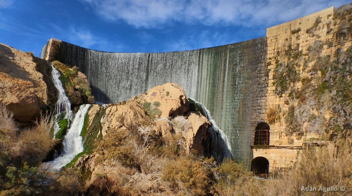 Lugar Pantano De Elche