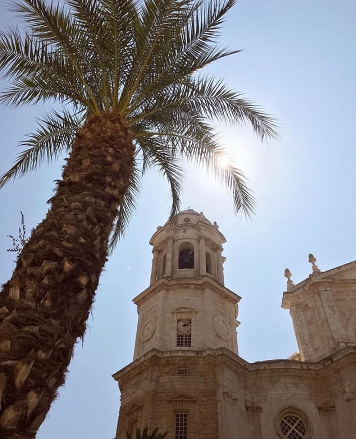 Lugar Catedral de Cádiz