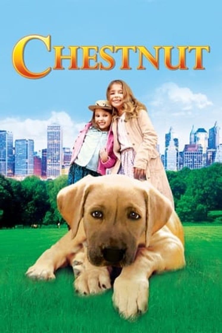 Película Chestnut: Hero of Central Park