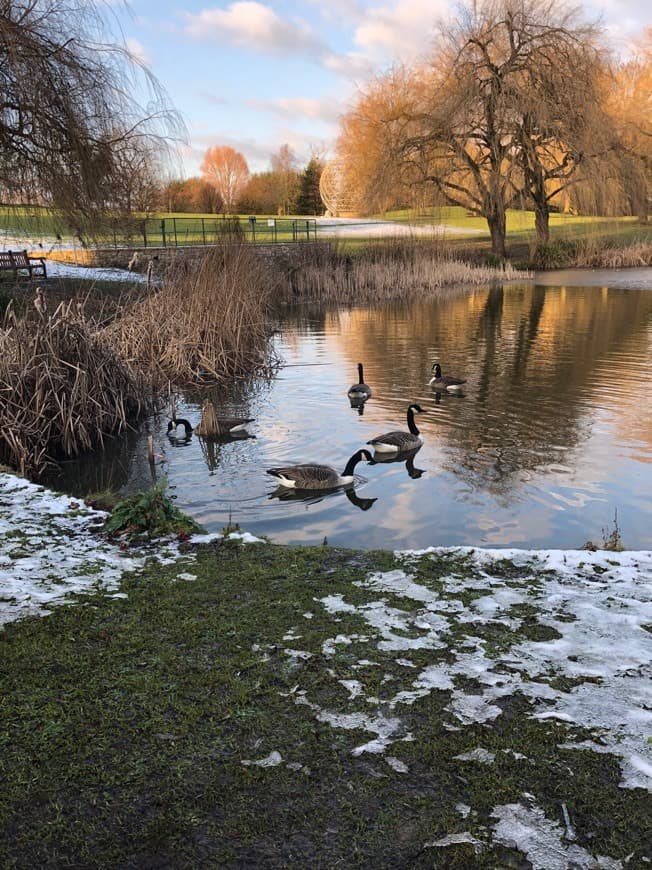 Place University Of Surrey