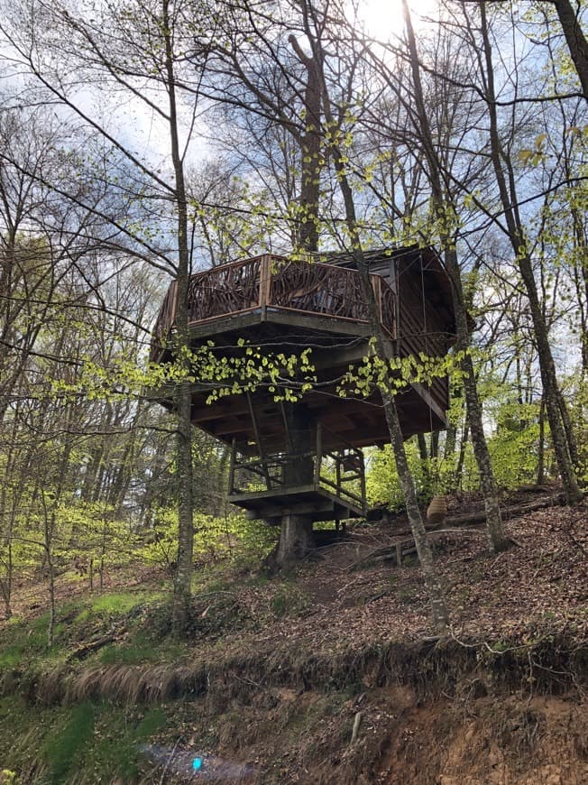 Place Cabanes als arbres