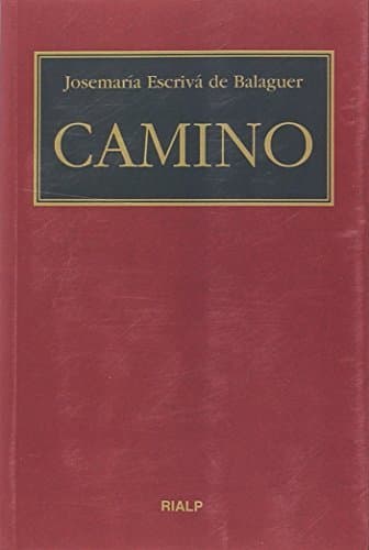 Libro Camino