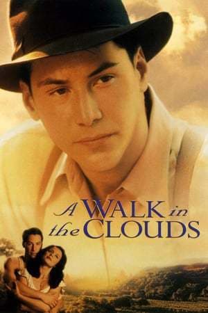 Movie A Walk in the Clouds