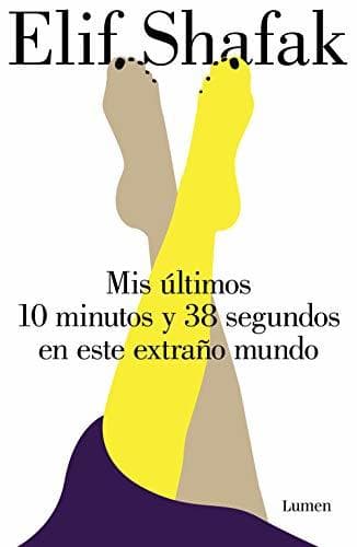 Book Mis últimos 10 minutos y 38 segundos en este extraño mundo