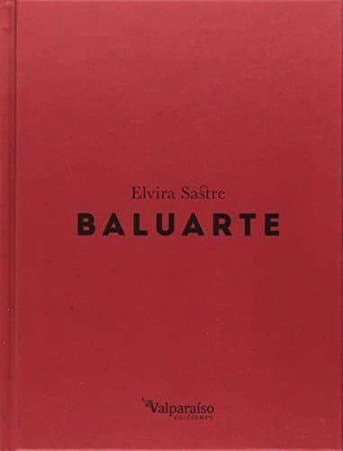 Book Baluarte