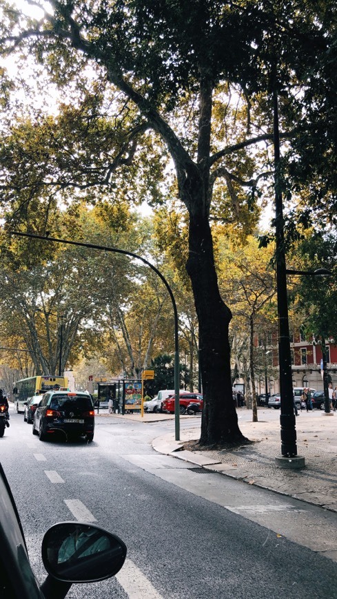 Place Avenida da Liberdade