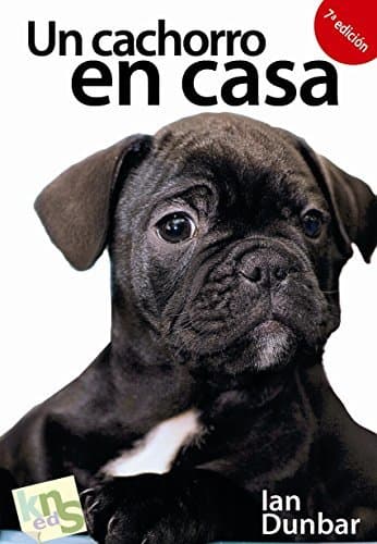 Libro Un cachorro en casa