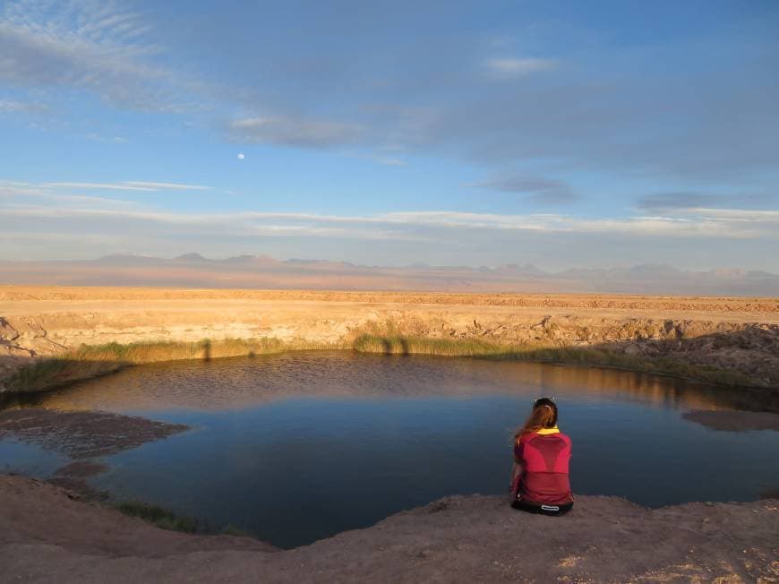 Lugar Desierto de Atacama