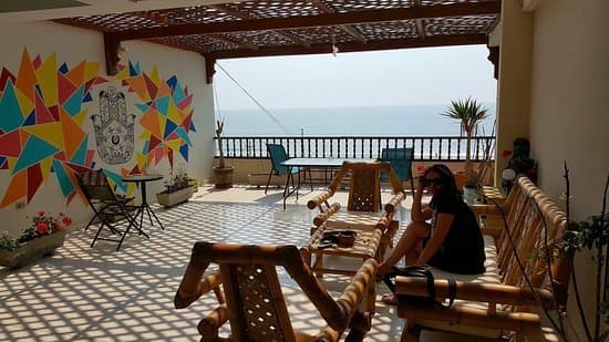 Place Frogs Chillhouse Hostel Huanchaco