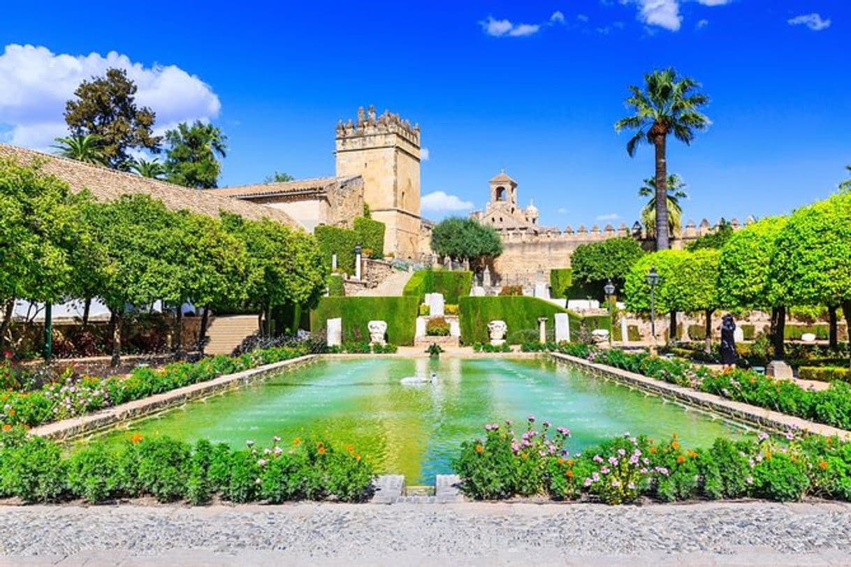 Place Alcázar de los Reyes Cristianos