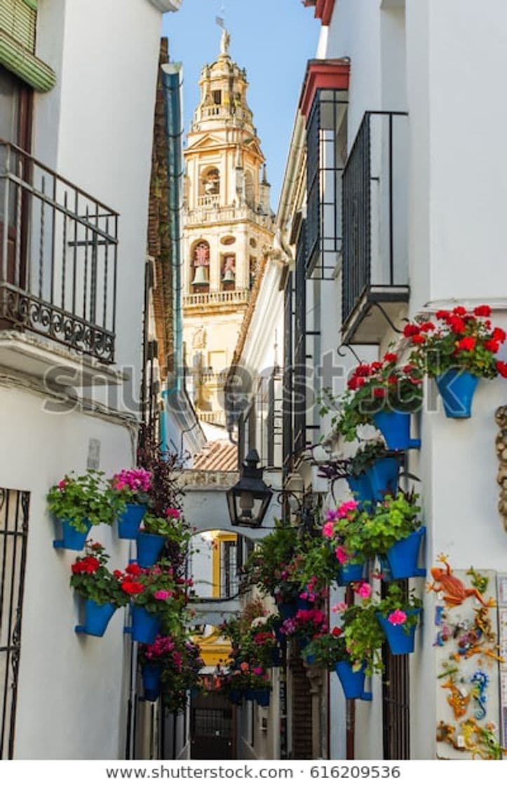 Place Calleja de las Flores