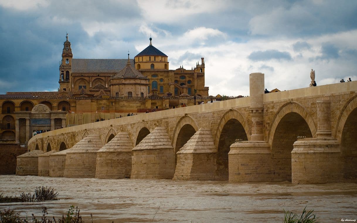 Place Puente Romano de Córdoba