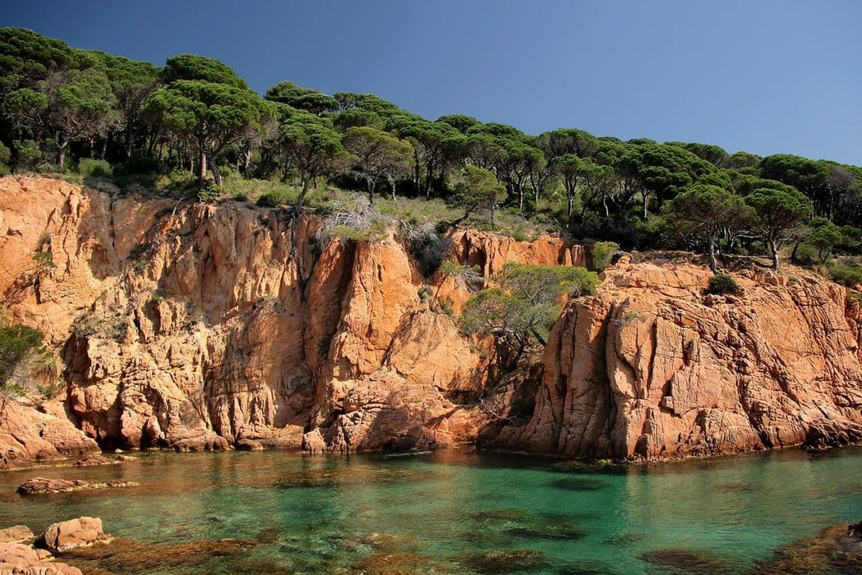 Lugar Cala De L'Ametller