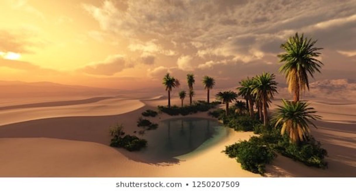 Place Desert Oasis