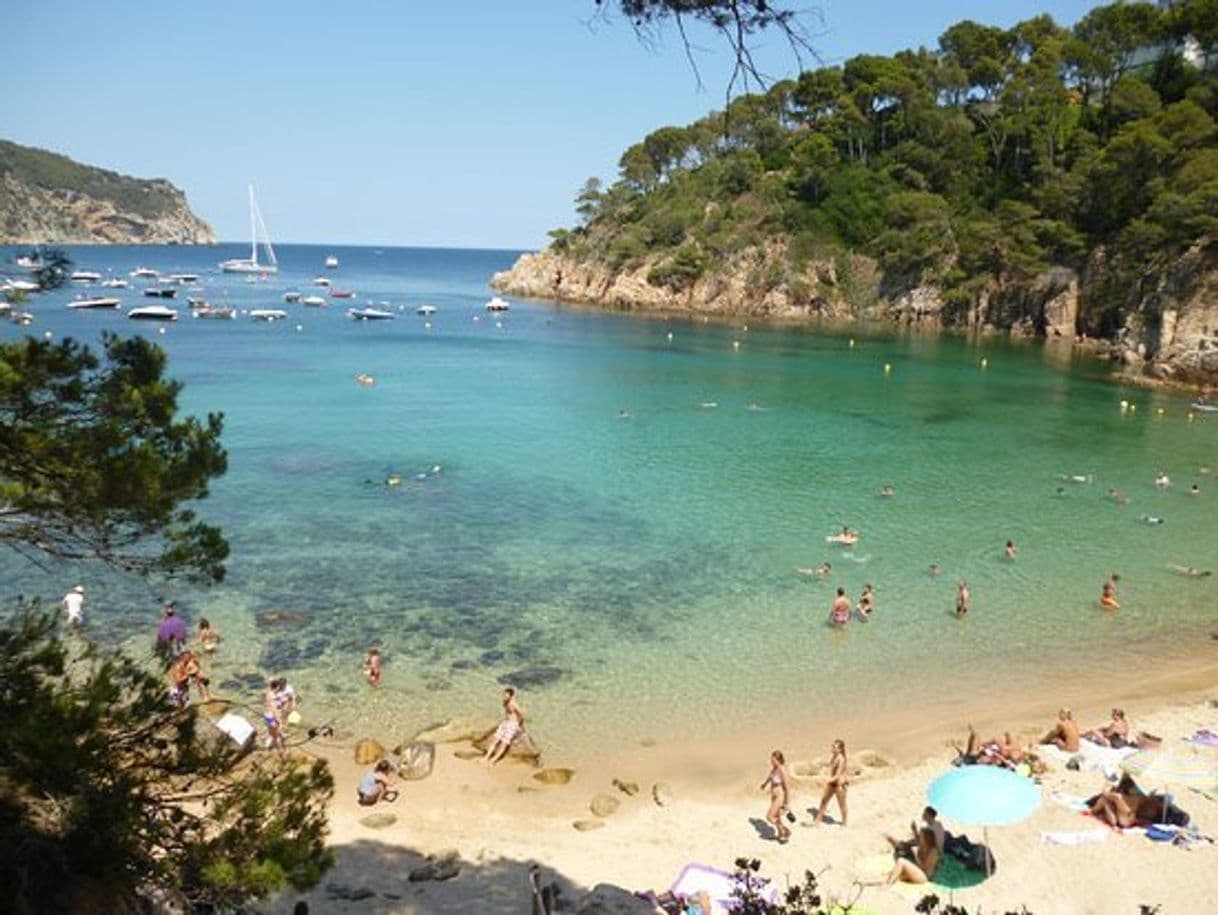 Restaurants Playa Cala Aiguablava