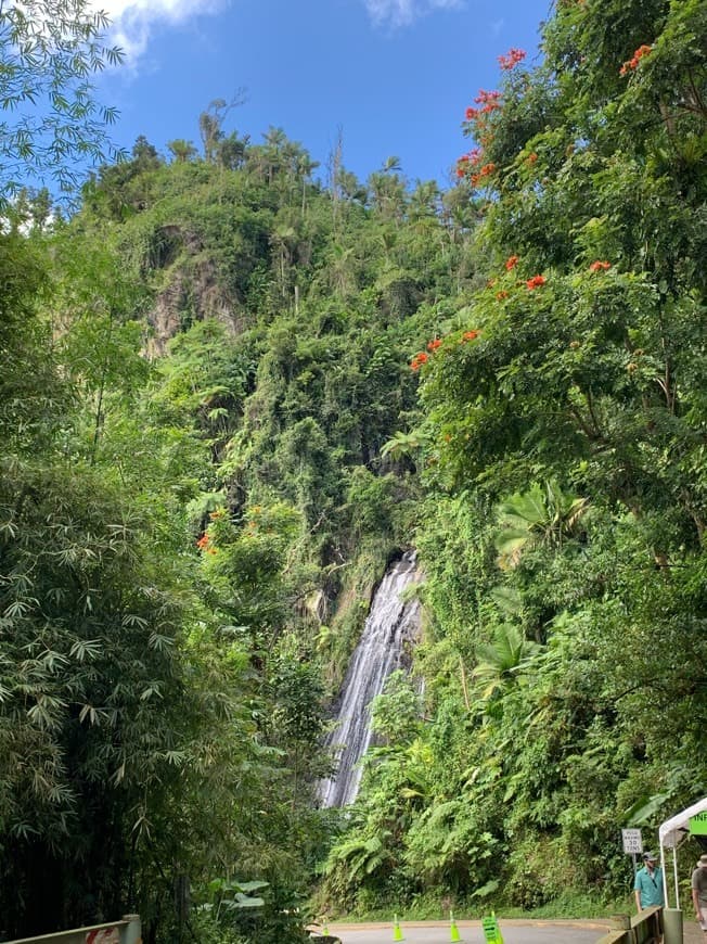 Place El Yunque National Forest