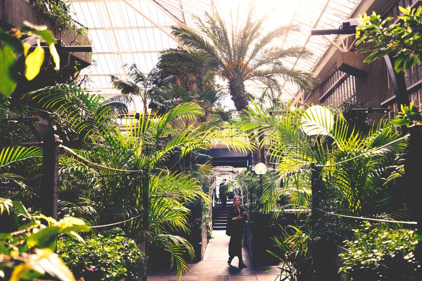 Place Barbican Conservatory